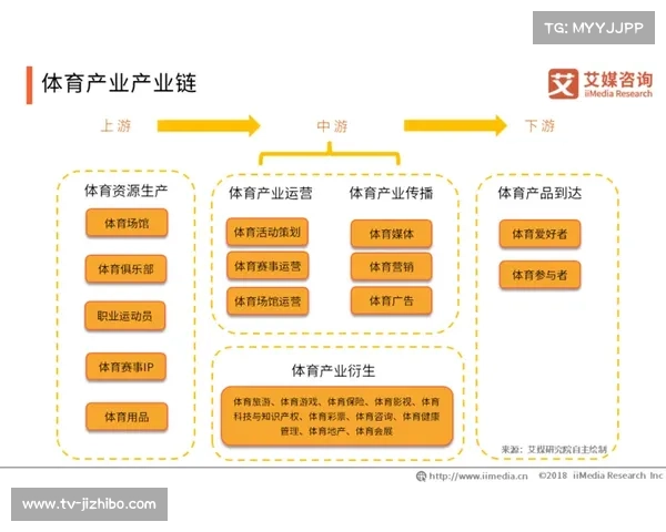 产业生态日趋完善，上下游协同推动体育产业链现代化