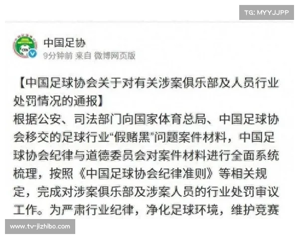 中国足坛“假赌黑”专项整治告一段落，73人被终身禁足